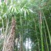 Thumbnail of related posts 070