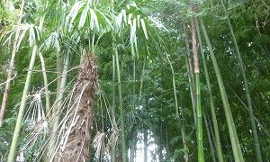 Thumbnail of post image 075