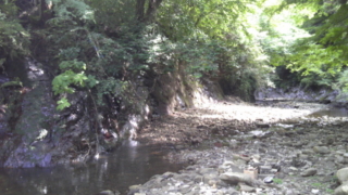 Thumbnail of post image 123
