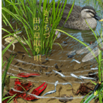 Thumbnail of post image 035