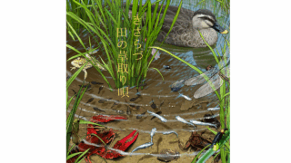 Thumbnail of post image 148